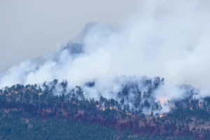 hình ảnh rừng bị cháy được Drone ghi lại