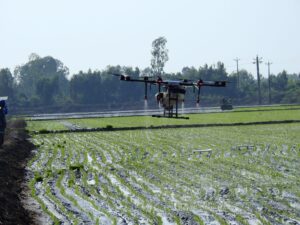 Máy bay phun thuốc trừ sâu cho lúa tại Thái Bình